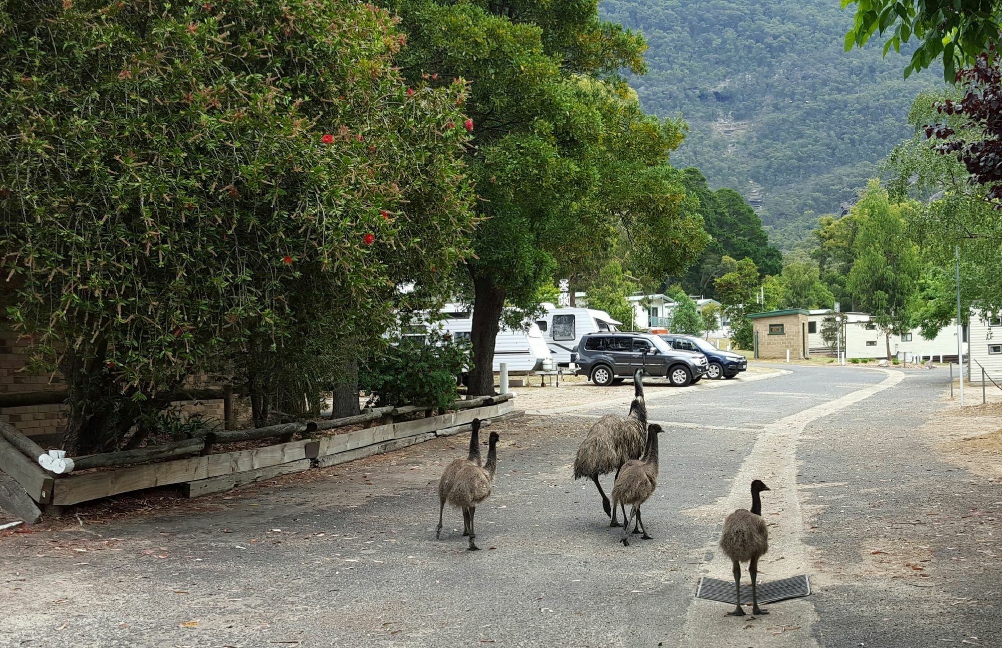Breeze Holiday Parks - ホールズギャップ エクステリア 写真